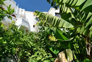 Myrtos Kastro Hotel  - CRETE