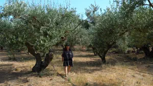 Panagia Kalafatiani Church  - CRETE