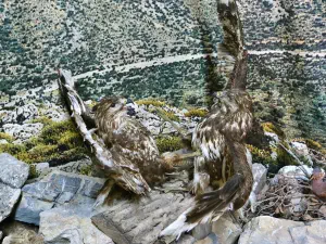 Panagia Vidiani Monastery  - CRETE