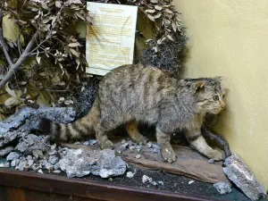 Panagia Vidiani Monastery  - CRETE