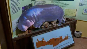 Panagia Vidiani Monastery  - CRETE