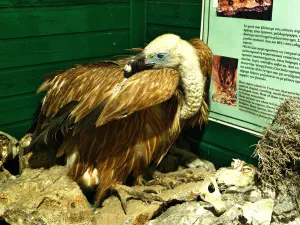 Panagia Vidiani Monastery  - CRETE