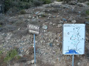 Pefki Gorge  - CRETE