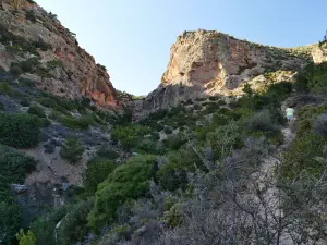 Pefki Gorge  - CRETE