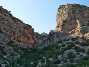 Pefki Gorge  - CRETE