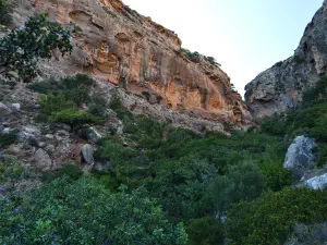 Pefki Gorge  - CRETE