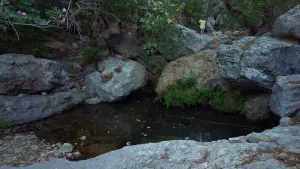 Pefki Gorge  - CRETE