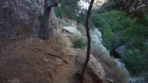 Pefki Gorge  - CRETE