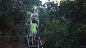 Pefki Gorge  - CRETE