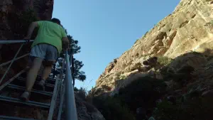 Pefki Gorge  - CRETE