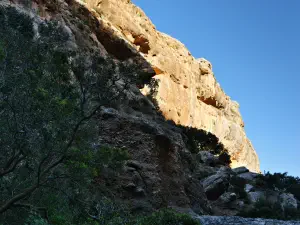 Pefki Gorge  - CRETE