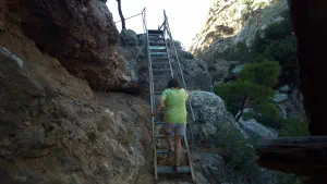 Pefki Gorge  - CRETE