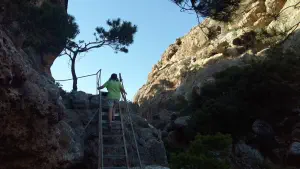 Pefki Gorge  - CRETE