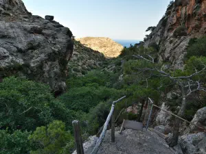 Pefki Gorge  - CRETE