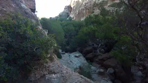 Pefki Gorge  - CRETE