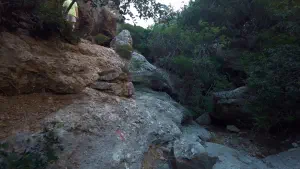 Pefki Gorge  - CRETE