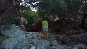 Pefki Gorge  - CRETE