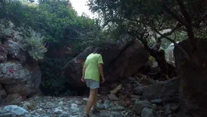 Pefki Gorge  - CRETE