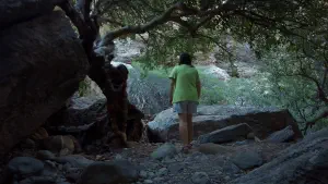 Pefki Gorge  - CRETE