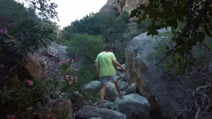 Pefki Gorge  - CRETE