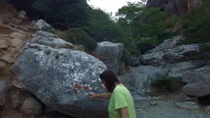 Pefki Gorge  - CRETE