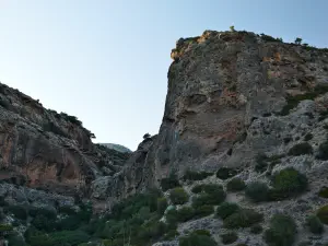 Pefki Gorge  - CRETE