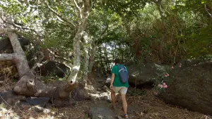 Richtis Gorge  - CRETE