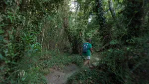 Richtis Gorge  - CRETE