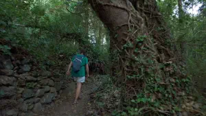 Richtis Gorge  - CRETE