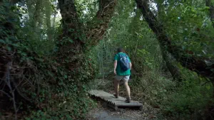Richtis Gorge  - CRETE