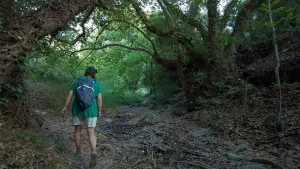 Richtis Gorge  - CRETE