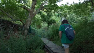 Richtis Gorge  - CRETE