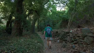 Richtis Gorge  - CRETE