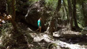 Richtis Gorge  - CRETE