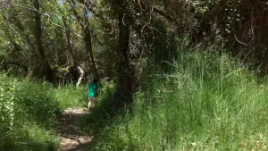 Richtis Gorge  - CRETE