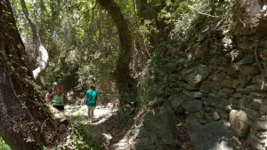 Richtis Gorge  - CRETE