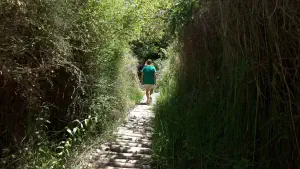 Richtis Gorge  - CRETE