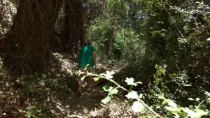 Richtis Gorge  - CRETE