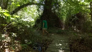 Richtis Gorge  - CRETE