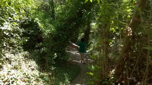 Richtis Gorge  - CRETE