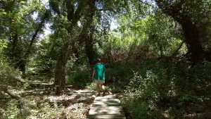 Richtis Gorge  - CRETE