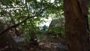 Richtis Gorge  - CRETE