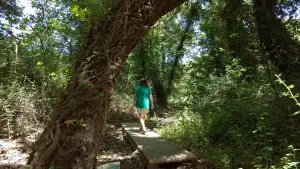 Richtis Gorge  - CRETE