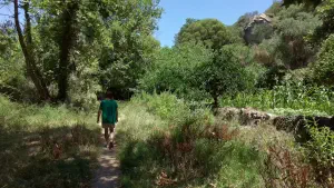 Richtis Gorge  - CRETE