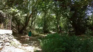 Richtis Gorge  - CRETE