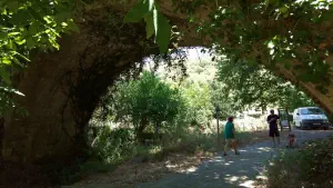 Richtis Gorge  - CRETE