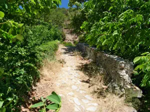 Richtis Gorge  - CRETE