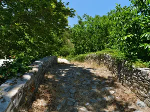 Richtis Gorge  - CRETE