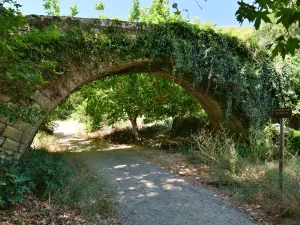 Richtis Gorge  - CRETE