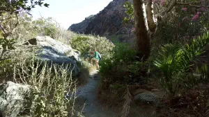 Richtis Gorge  - CRETE